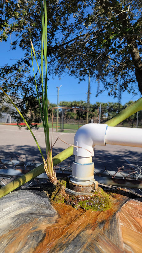 Well water treatment system for rural homeowners in Mesa, Arizona in Mesa,, Arizona