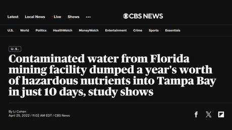 Pet drinking filtered water from bowl to reduce PFAS contamination exposure