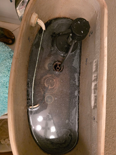 Iron bacteria treatment system for well water in Naples park, Florida in Naples Park,, Florida