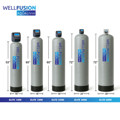 WellFusion™ Elite 120K - Commercial Well Iron Removal (2)