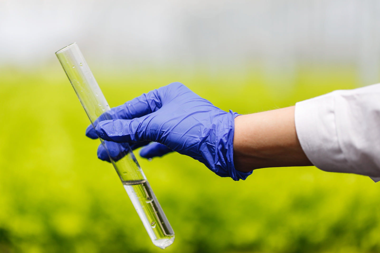 Some Contaminants Do Not Fade with Time